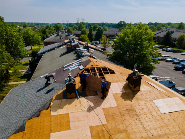 Trusted Storm Damage Roof Repair service in Pollock Pines, CA - Brentwood Metal Roofing